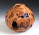 Russian Olive Burl HFa1048 copy